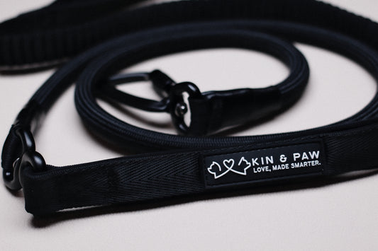 KIN Everyday Leash