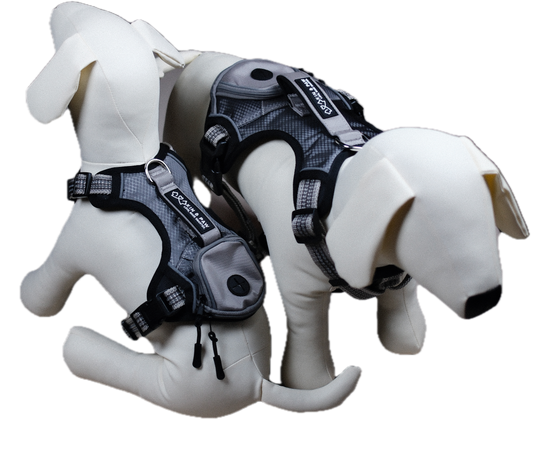 KIN Carry Harness