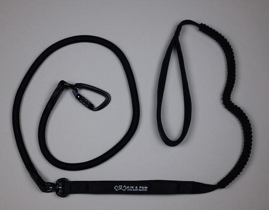 KIN Everyday Leash